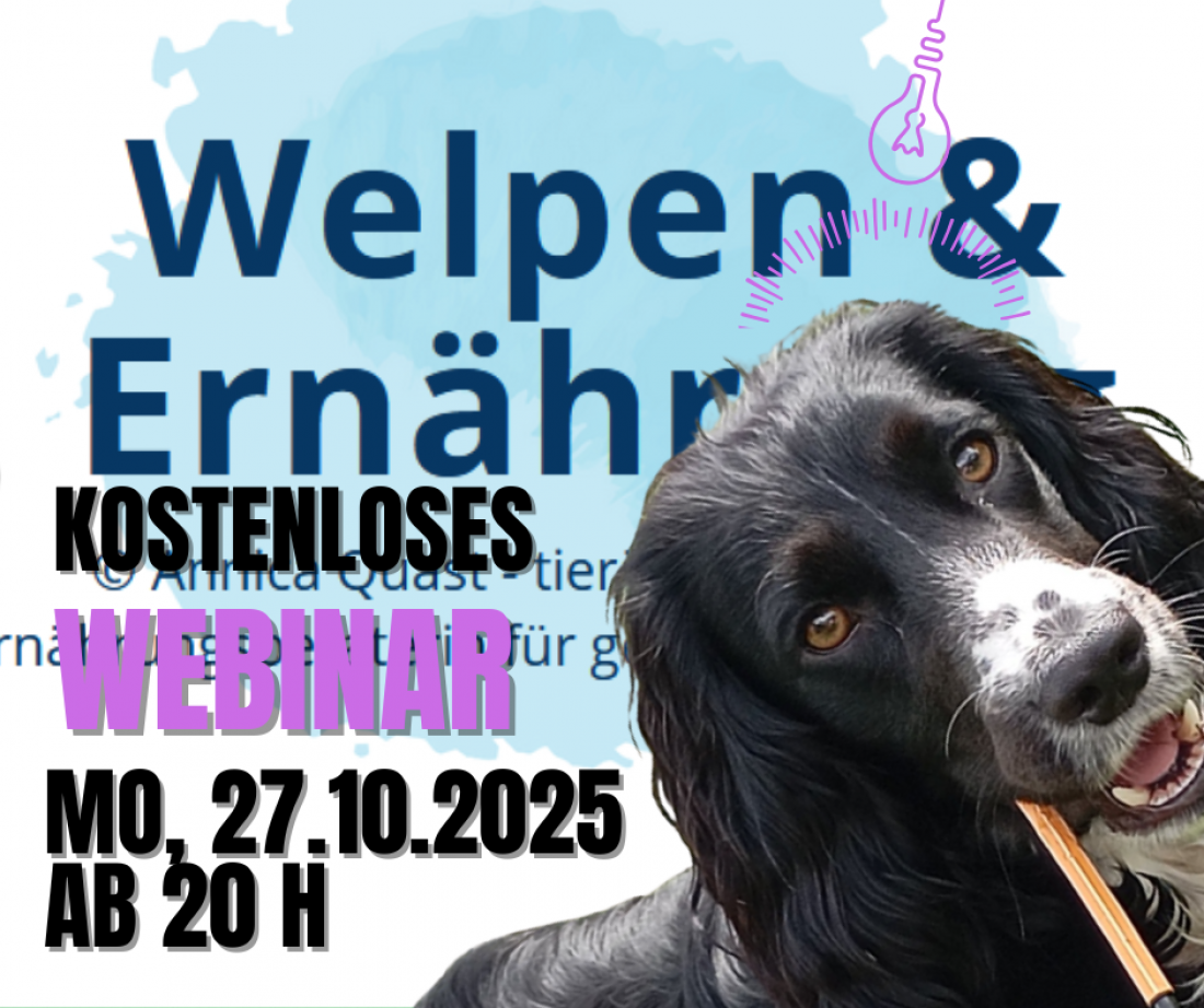 Webinar Welpenernährung