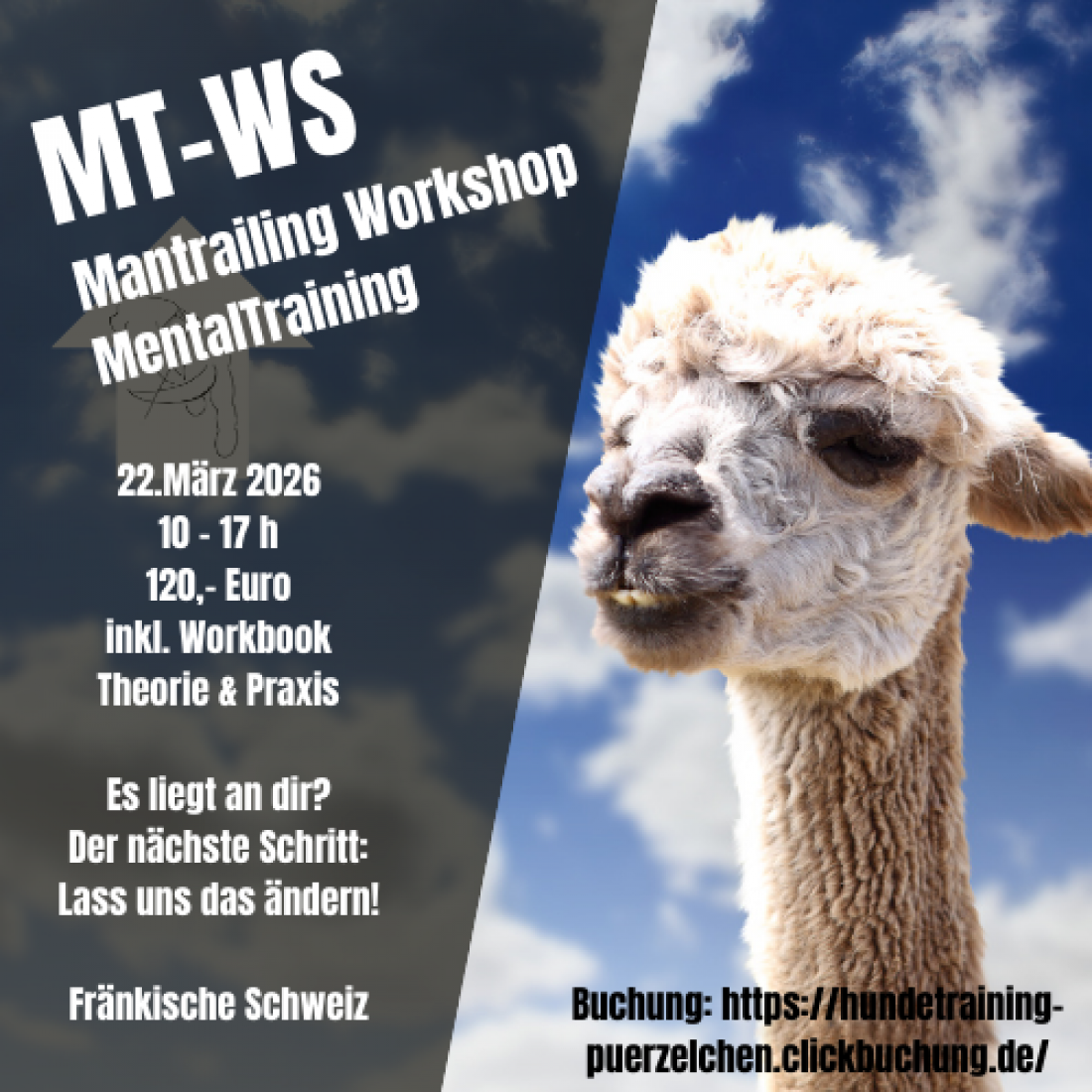 Mantrailing Workshop Mentaltraining